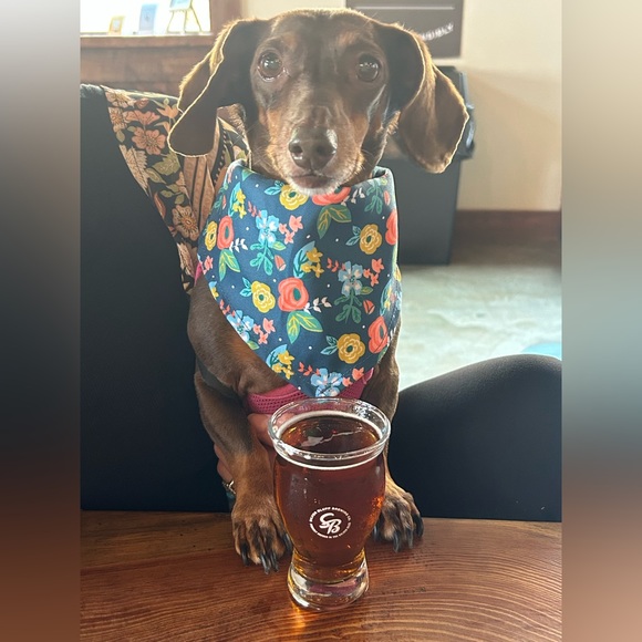 Kimberly is live! Come hang! Yeehaw Yeehaw! 🤠❤️ - Picture 13 of 16